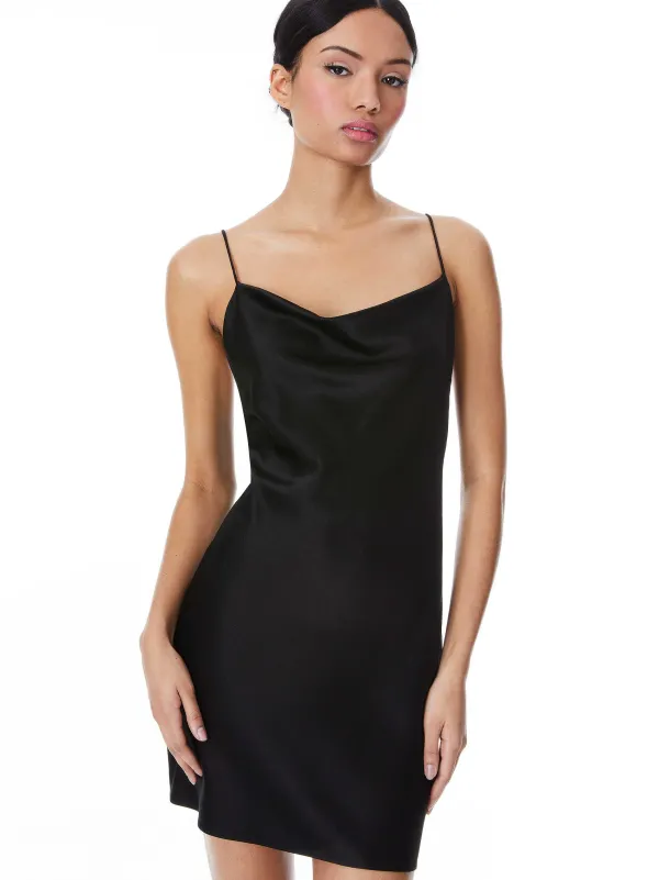 Women Alice and Olivia Harmony Mini Slip Dress