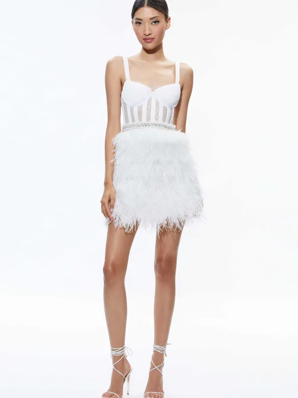 Women Alice and Olivia Xia Sheer Bustier Feathered Mini Dress